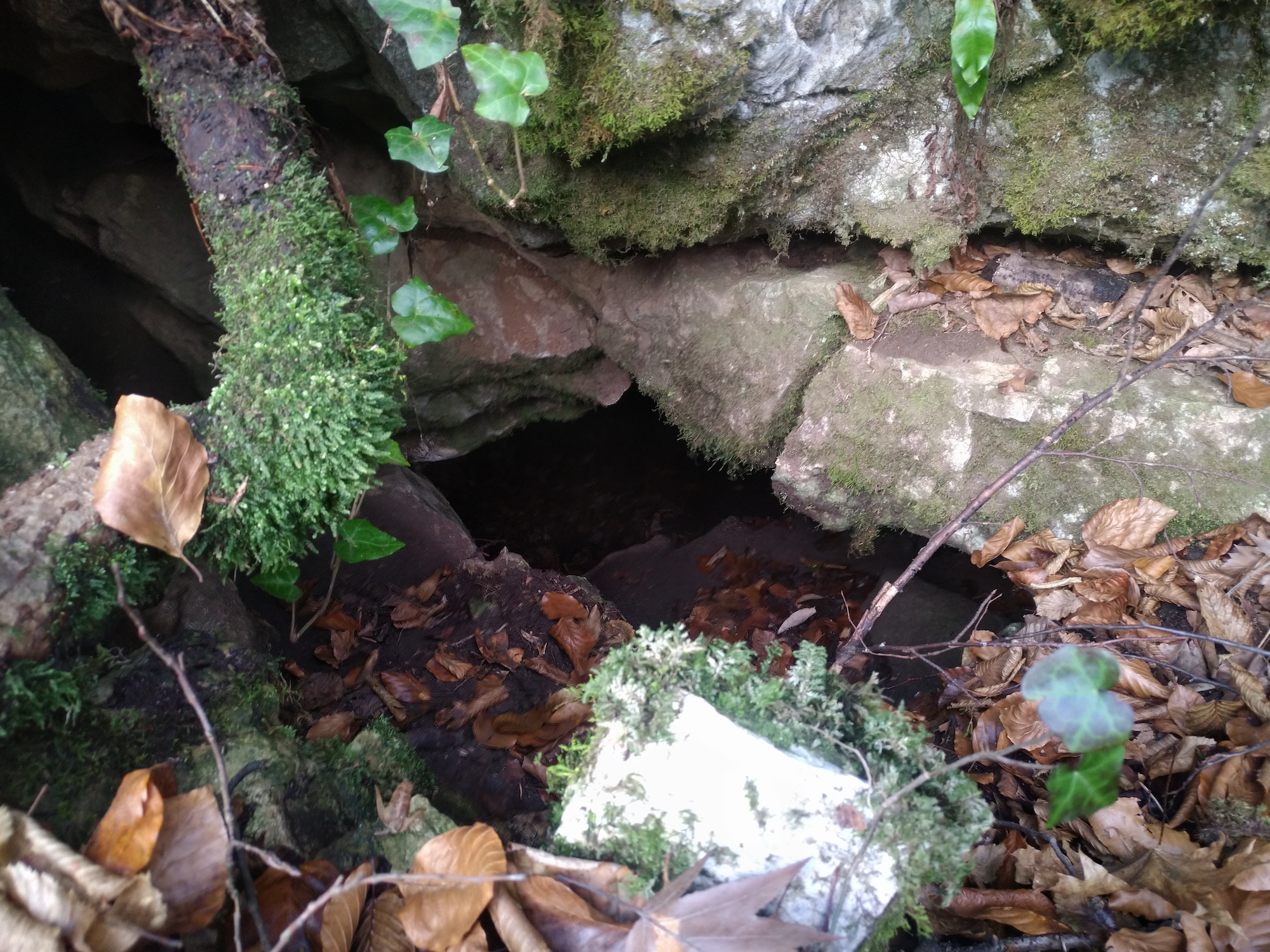 Pestera nr. 23 din Valea Comarnic - Image 1